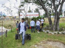 El Ayuntamiento de Zapopan plantará 13 mil árboles para reponer los que fueron retirados por las obras de la línea 3 del Tren Ligero. EL INFORMADOR / ARCHIVO