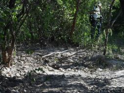 Los hallazgos se realizan sin el apoyo de autoridades y expertos forenses. AFP / ARCHIVO