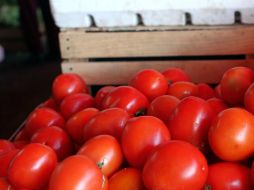 Productos como el jitomate registraron alza en su precio. EL INFORMADOR / ARCHIVO