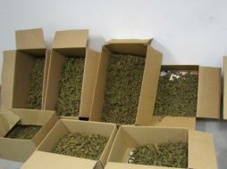 Avendaño Félix fue capturado en la carretera México-Nogales. EL INFORMADOR / ARCHIVO