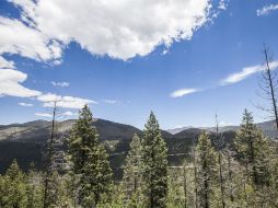 El indicador que peor habla de Jalisco es el Manejo sustentable de medio ambiente. EL INFORMADOR / ARCHIVO