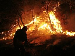 Este año se registran en el estado 438 incendios forestales y una superficie afectada de siete mil 600 hectáreas. NTX / ARCHIVO