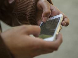 El daño patrimonial por este delito llega a casi seis mil MDP al año. EL INFORMADOR / ARCHIVO