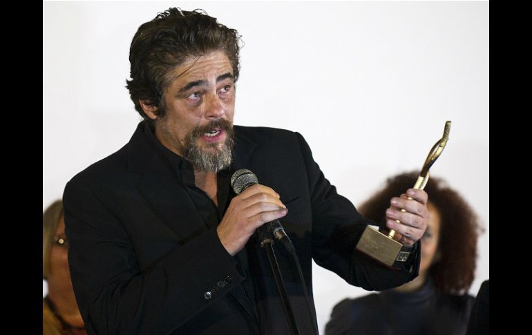 El actor de 47 años es una de las 'figuras más aclamadas de su generación' en Hispanoamérica. AFP / Y. Lage