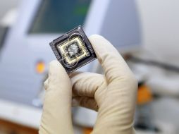 Los cambios en el gen APOA5 están asociados a cambiar los niveles de grasa en la sangre y es transmitido de padres a hijos. EFE / ARCHIVO