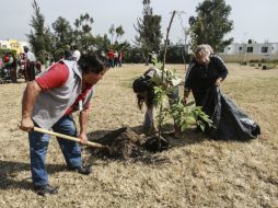 Este jueves iniciaron con la reforestación de en Tlaquepaque por las obras de la Línea 3. EL INFORMADOR / F. Atilano