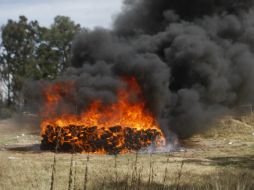 El acto se efectuó en las instalaciones del Club Cinegético Tonalá. EL INFORMADOR / ARCHIVO