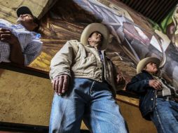 Los maiceros exigen al gobierno un mejor precio por tonelada. EL INFORMADOR / ARCHIVO