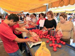 En Guadalajara, el jitomate saladette sube a 25 pesos. EL INFORMADOR / ARCHIVO