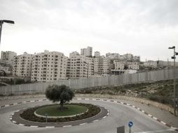 De los 15 países que forman el Consejo de Seguridad, consideran improbable que Estados Unidos apoye esta resolución. EFE / A. Sultan