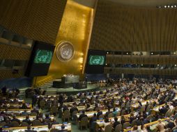 La resolución, propuesta por la Unión Europea y Japón, fue aprobada por 116 votos a favor, 20 en contra y 53 abstenciones. EFE / ARCHIVO