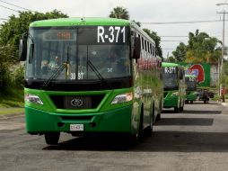 Las unidades autorizadas cuentan con elementos internos de seguridad y no ponen en riesgo a los pasajeros. EL INFORMADOR / A. Hinojosa