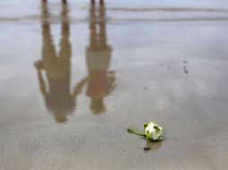 El devastador tsunami del 26 de diciembre de 2004 golpeó a una docena de países en la costa índica AP / W. Maye