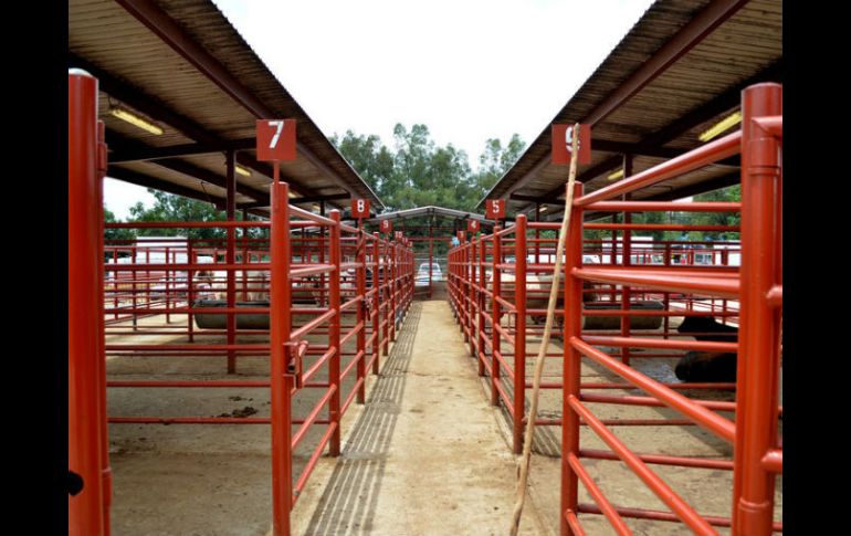 Actualmente sólo operan tres rastros TIF en el estado, dos privados, y uno público en Arandas. EL INFORMADOR / ARCHIVO