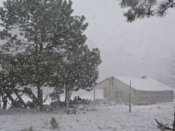 Destacan la imporntancia en el uso de aparatos eléctricos para calentar las viviendas y evitar los que consumen leña. NTX / ESPECIAL