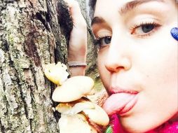 Cyrus nunca ha ocultado su gusto por la mariguana y las drogas 'felices'. INSTAGRAM / @mileycyrus