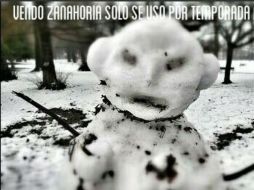 Usuarios de Twitter recienten la cuesta de enero y hacen en tono sarcástico ofertas en esta red social. TWITTER / @PonchoMunoz