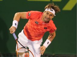 Ferrer ha vencido a Verdasco en 12 de 19 enfrentamientos. AFP / K. Jafaar