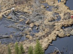 El hecho fue manifestado anónimamente por trabajadores de la empresa perteneciente al Grupo Minero Fresnillo. EFE / ARCHIVO