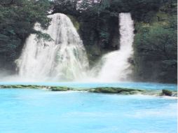 La belleza de la Huasteca Potosina impresiona a la pupila. EL INFORMADOR / V. García