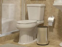 Varias chicas muy guapas lo contactaron para expresarle su amor por los inodoros. FACEBOOK / Especial