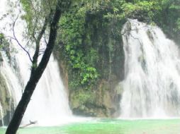 Una estampa que regala a la mirada la Huasteca Potosina. EL INFORMADOR / V. García Remus