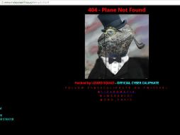 Posteriormente el fondo fue cambiado por la imagen de un lagarto con sombrero de copa, unido al usuario de Twitter @lizardmafia. ESPECIAL / www.malaysiaairlines.com