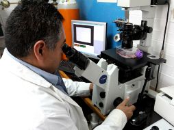 El responsable del proyecto explica que el procedimiento será similar a una tomografía convencional. NTX / ARCHIVO