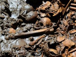 Los restos fueron encontrados por obreros que realizaban una excavación en la localidad de Paso de Patria. EFE / ARCHIVO
