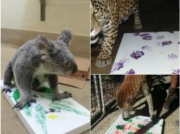 Las 68 pinturas exploran la 'relación inmediata entre cada animal y su entrenador', comentan. FACEBOOK / zoomiami