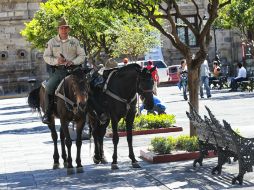 La Policía Montada también es una de las estrategias para inhibir a los delincuentes. EL INFORMADOR / ARCHIVO
