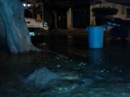 La marca de la fuga ya se observa en las avenidas Fresno, Ciprés y Roble. EL INFORMADOR / I. De Loza