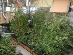 Del aseguramiento del inmueble en que se llevaban a cabo estas operaciones se encargará la PGR. ESPECIAL / Fiscalía General del Estado