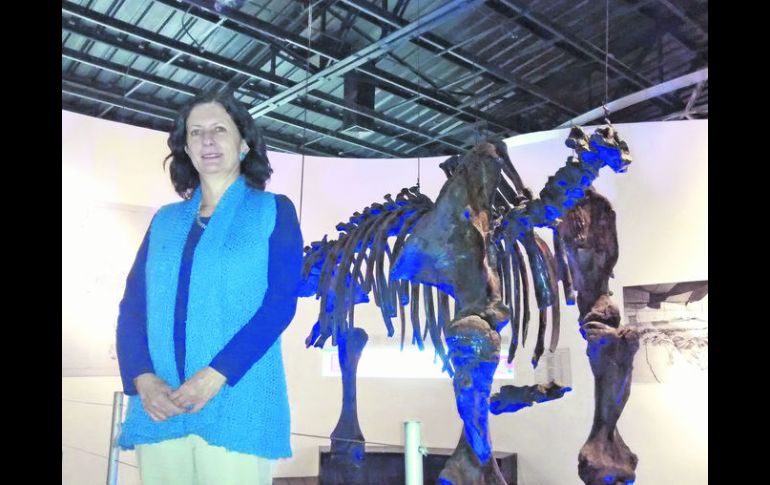 Isabel Orendain, directora del museo, espera que los tres megaterios encontrados en Amacueca lleguen al espacio. EL INFORMADOR / I. Martínez