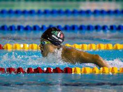 Fernanda González, Gabriela Jiménez, Diana Luna y Ana Sofía Revilak, detuvieron el crono en 4:23.06 minutos. MEXSPORT / ARCHIVO