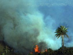 Incendio forestal en Valparaíso, Chile EL INFORMADOR / ARCHIVO