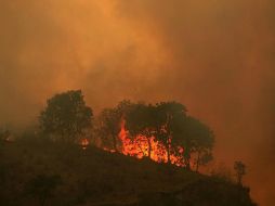 El parque nacional Walter Thilo Deininger, ubicado al suroeste, es el más afectado. EL INFORMADOR / ARCHIVO