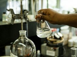 Las células madre de sangre de cordón umbilical se usan hoy en día en el tratamiento de más de 84 enfermedades. EL INFORMADOR / ARCHIVO