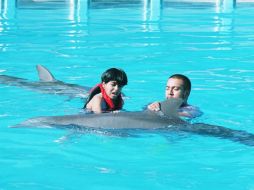 La Profepa ordena la suspensión de las actividades de nado con delfines de forma precautoria. EL INFORMADOR / ARCHIVO