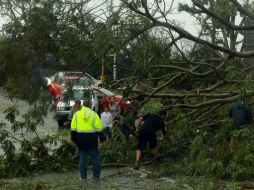 Habitantes de Yeppoon retiran un árbol que cayó luego del paso del ciclón Marcia. AFP / S. Allsop