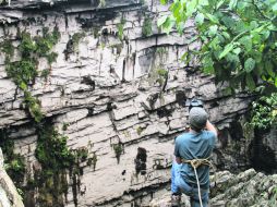 Maravilla. El sótano de las Golondrinas. EL INFORMADOR / V. García