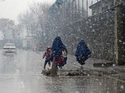 La nieve ha alcanzado acumulaciones de hasta un metro en algunos lugares y árboles derribados bloquean caminos. AP / ARCHIVO
