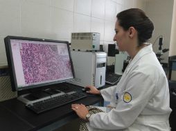 Se estudian las proteínas características, la expresión de los ácidos ribonucleicos y se realizan cultivos primarios con las muestras. EL INFORMADOR / ARCHIVO