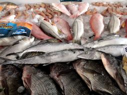 El comisionado nacional de Acuacultura y Pesca, asegura que hay diferentes productos que tienen el mismo valor nutricional. EL INFORMADOR / ARCHIVO