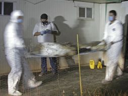 Exigen a FGE que investigue los hechos de manera seria. AP / ARCHIVO