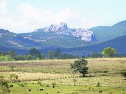 La Sierra de Quila, una maravilla que se descubre ante la vista. EL INFORMADOR / V. García