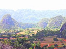 Los bohíos soñolientos de Viñales se acurrucan entre los Mogotes milenarios. EL INFORMADOR / P. Fernández
