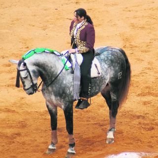 Cartel de contrastes en la plaza El Centenario