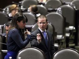 El líder panista mencionó que el candidato blanquizaul al gobierno de Guerrero, Jorge Camacho, no ha solicitado protección especial. SUN / L. Godínez