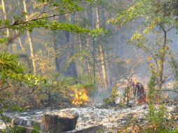 Las altas temperaturas y los fuertes vientos, sumados a la gran sequía amenazan con complicar la tarea de brigadistas. EFE / STR